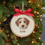 Embroidered Dog Ornament With Photo & Name, Christmas Gift For Pet Lovers